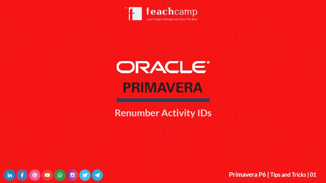 01. Renumber Activities IDs | Primavera P6 | Tips and Tricks